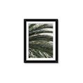 Picture of Sun & Palms  _GroupedProduct_Rectangle_Portrait_Photography _GroupedProduct_Rectangle_Portrait_Framed_Matted_
