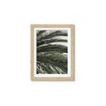 Picture of Sun & Palms  _GroupedProduct_Rectangle_Portrait_Photography _GroupedProduct_Rectangle_Portrait_Framed_Matted_