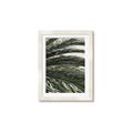 Picture of Sun & Palms  _GroupedProduct_Rectangle_Portrait_Photography _GroupedProduct_Rectangle_Portrait_Framed_Matted_