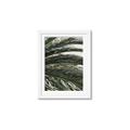 Picture of Sun & Palms  _GroupedProduct_Rectangle_Portrait_Photography _GroupedProduct_Rectangle_Portrait_Framed_Matted_