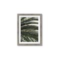 Picture of Sun & Palms  _GroupedProduct_Rectangle_Portrait_Photography _GroupedProduct_Rectangle_Portrait_Framed_Matted_