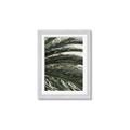 Picture of Sun & Palms  _GroupedProduct_Rectangle_Portrait_Photography _GroupedProduct_Rectangle_Portrait_Framed_Matted_