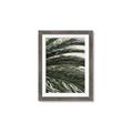 Picture of Sun & Palms  _GroupedProduct_Rectangle_Portrait_Photography _GroupedProduct_Rectangle_Portrait_Framed_Matted_