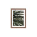 Picture of Sun & Palms  _GroupedProduct_Rectangle_Portrait_Photography _GroupedProduct_Rectangle_Portrait_Framed_Matted_