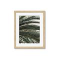 Picture of Sun & Palms  _GroupedProduct_Rectangle_Portrait_Photography _GroupedProduct_Rectangle_Portrait_Framed_Matted_