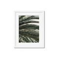 Picture of Sun & Palms  _GroupedProduct_Rectangle_Portrait_Photography _GroupedProduct_Rectangle_Portrait_Framed_Matted_