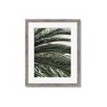Picture of Sun & Palms  _GroupedProduct_Rectangle_Portrait_Photography _GroupedProduct_Rectangle_Portrait_Framed_Matted_