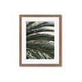 Picture of Sun & Palms  _GroupedProduct_Rectangle_Portrait_Photography _GroupedProduct_Rectangle_Portrait_Framed_Matted_