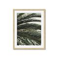 Picture of Sun & Palms  _GroupedProduct_Rectangle_Portrait_Photography _GroupedProduct_Rectangle_Portrait_Framed_Matted_