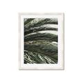 Picture of Sun & Palms  _GroupedProduct_Rectangle_Portrait_Photography _GroupedProduct_Rectangle_Portrait_Framed_Matted_