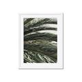 Picture of Sun & Palms  _GroupedProduct_Rectangle_Portrait_Photography _GroupedProduct_Rectangle_Portrait_Framed_Matted_
