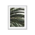 Picture of Sun & Palms  _GroupedProduct_Rectangle_Portrait_Photography _GroupedProduct_Rectangle_Portrait_Framed_Matted_