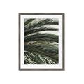 Picture of Sun & Palms  _GroupedProduct_Rectangle_Portrait_Photography _GroupedProduct_Rectangle_Portrait_Framed_Matted_