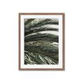 Picture of Sun & Palms  _GroupedProduct_Rectangle_Portrait_Photography _GroupedProduct_Rectangle_Portrait_Framed_Matted_
