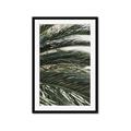 Picture of Sun & Palms  _GroupedProduct_Rectangle_Portrait_Photography _GroupedProduct_Rectangle_Portrait_Framed_Matted_