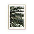 Picture of Sun & Palms  _GroupedProduct_Rectangle_Portrait_Photography _GroupedProduct_Rectangle_Portrait_Framed_Matted_