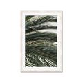 Picture of Sun & Palms  _GroupedProduct_Rectangle_Portrait_Photography _GroupedProduct_Rectangle_Portrait_Framed_Matted_