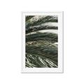 Picture of Sun & Palms  _GroupedProduct_Rectangle_Portrait_Photography _GroupedProduct_Rectangle_Portrait_Framed_Matted_