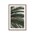 Picture of Sun & Palms  _GroupedProduct_Rectangle_Portrait_Photography _GroupedProduct_Rectangle_Portrait_Framed_Matted_