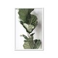 Picture of Think Green  _GroupedProduct_Rectangle_Portrait_Photography _GroupedProduct_Rectangle_Portrait_Framed_Matted_
