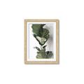 Picture of Think Green  _GroupedProduct_Rectangle_Portrait_Photography _GroupedProduct_Rectangle_Portrait_Framed_Matted_