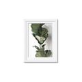 Picture of Think Green  _GroupedProduct_Rectangle_Portrait_Photography _GroupedProduct_Rectangle_Portrait_Framed_Matted_