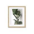 Picture of Think Green  _GroupedProduct_Rectangle_Portrait_Photography _GroupedProduct_Rectangle_Portrait_Framed_Matted_