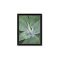 Picture of Up Close & Green _GroupedProduct_Rectangle_Portrait_Photography _GroupedProduct_Rectangle_Portrait_Framed_Matted_