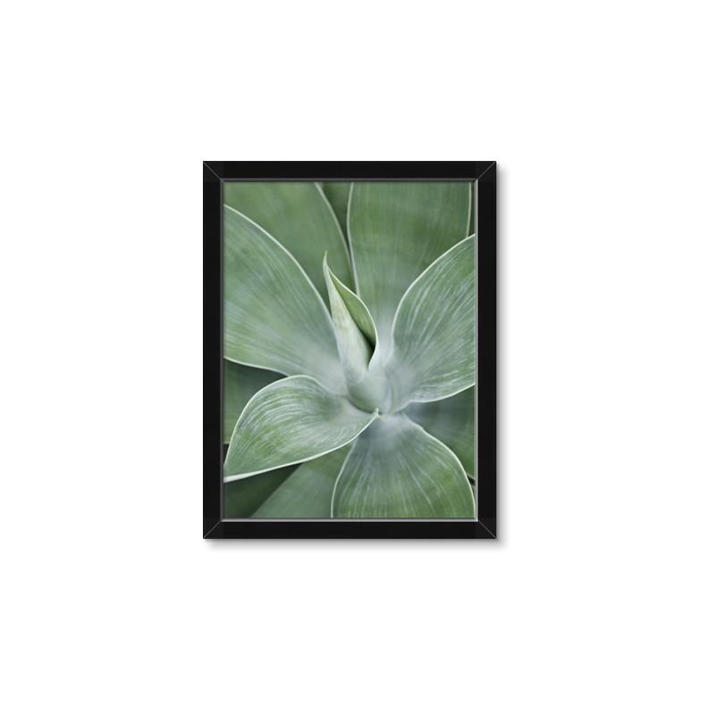 Picture of Up Close & Green _GroupedProduct_Rectangle_Portrait_Photography _GroupedProduct_Rectangle_Portrait_Framed_Matted_