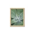 Picture of Up Close & Green _GroupedProduct_Rectangle_Portrait_Photography _GroupedProduct_Rectangle_Portrait_Framed_Matted_