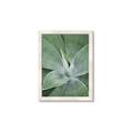 Picture of Up Close & Green _GroupedProduct_Rectangle_Portrait_Photography _GroupedProduct_Rectangle_Portrait_Framed_Matted_