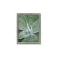 Picture of Up Close & Green _GroupedProduct_Rectangle_Portrait_Photography _GroupedProduct_Rectangle_Portrait_Framed_Matted_