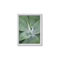 Picture of Up Close & Green _GroupedProduct_Rectangle_Portrait_Photography _GroupedProduct_Rectangle_Portrait_Framed_Matted_