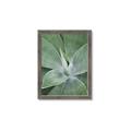 Picture of Up Close & Green _GroupedProduct_Rectangle_Portrait_Photography _GroupedProduct_Rectangle_Portrait_Framed_Matted_