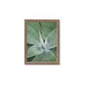 Picture of Up Close & Green _GroupedProduct_Rectangle_Portrait_Photography _GroupedProduct_Rectangle_Portrait_Framed_Matted_