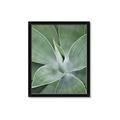 Picture of Up Close & Green _GroupedProduct_Rectangle_Portrait_Photography _GroupedProduct_Rectangle_Portrait_Framed_Matted_