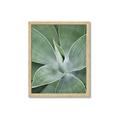 Picture of Up Close & Green _GroupedProduct_Rectangle_Portrait_Photography _GroupedProduct_Rectangle_Portrait_Framed_Matted_