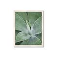 Picture of Up Close & Green _GroupedProduct_Rectangle_Portrait_Photography _GroupedProduct_Rectangle_Portrait_Framed_Matted_