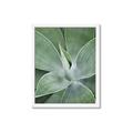Picture of Up Close & Green _GroupedProduct_Rectangle_Portrait_Photography _GroupedProduct_Rectangle_Portrait_Framed_Matted_