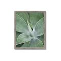 Picture of Up Close & Green _GroupedProduct_Rectangle_Portrait_Photography _GroupedProduct_Rectangle_Portrait_Framed_Matted_