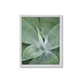 Picture of Up Close & Green _GroupedProduct_Rectangle_Portrait_Photography _GroupedProduct_Rectangle_Portrait_Framed_Matted_