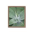 Picture of Up Close & Green _GroupedProduct_Rectangle_Portrait_Photography _GroupedProduct_Rectangle_Portrait_Framed_Matted_
