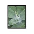 Picture of Up Close & Green _GroupedProduct_Rectangle_Portrait_Photography _GroupedProduct_Rectangle_Portrait_Framed_Matted_