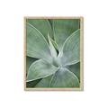 Picture of Up Close & Green _GroupedProduct_Rectangle_Portrait_Photography _GroupedProduct_Rectangle_Portrait_Framed_Matted_