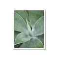 Picture of Up Close & Green _GroupedProduct_Rectangle_Portrait_Photography _GroupedProduct_Rectangle_Portrait_Framed_Matted_