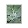 Picture of Up Close & Green _GroupedProduct_Rectangle_Portrait_Photography _GroupedProduct_Rectangle_Portrait_Framed_Matted_