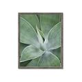 Picture of Up Close & Green _GroupedProduct_Rectangle_Portrait_Photography _GroupedProduct_Rectangle_Portrait_Framed_Matted_