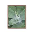 Picture of Up Close & Green _GroupedProduct_Rectangle_Portrait_Photography _GroupedProduct_Rectangle_Portrait_Framed_Matted_