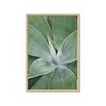 Picture of Up Close & Green _GroupedProduct_Rectangle_Portrait_Photography _GroupedProduct_Rectangle_Portrait_Framed_Matted_