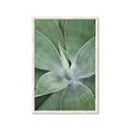 Picture of Up Close & Green _GroupedProduct_Rectangle_Portrait_Photography _GroupedProduct_Rectangle_Portrait_Framed_Matted_